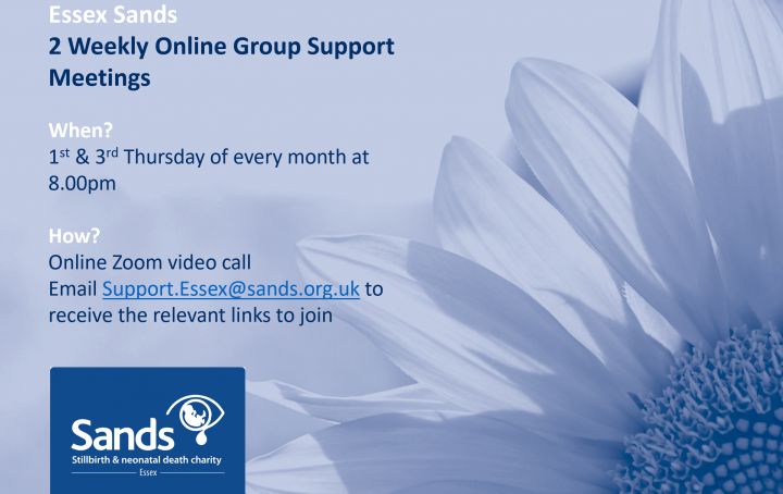 Online Support Meetings